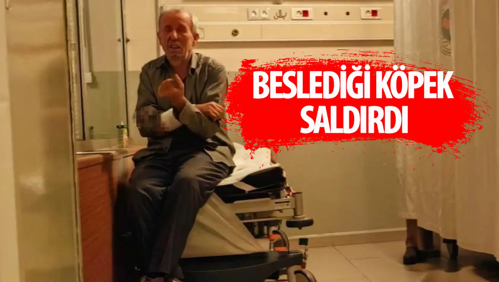 Beslediği köpeği tarafından saldırı uğradı: Kolu parçalandı!