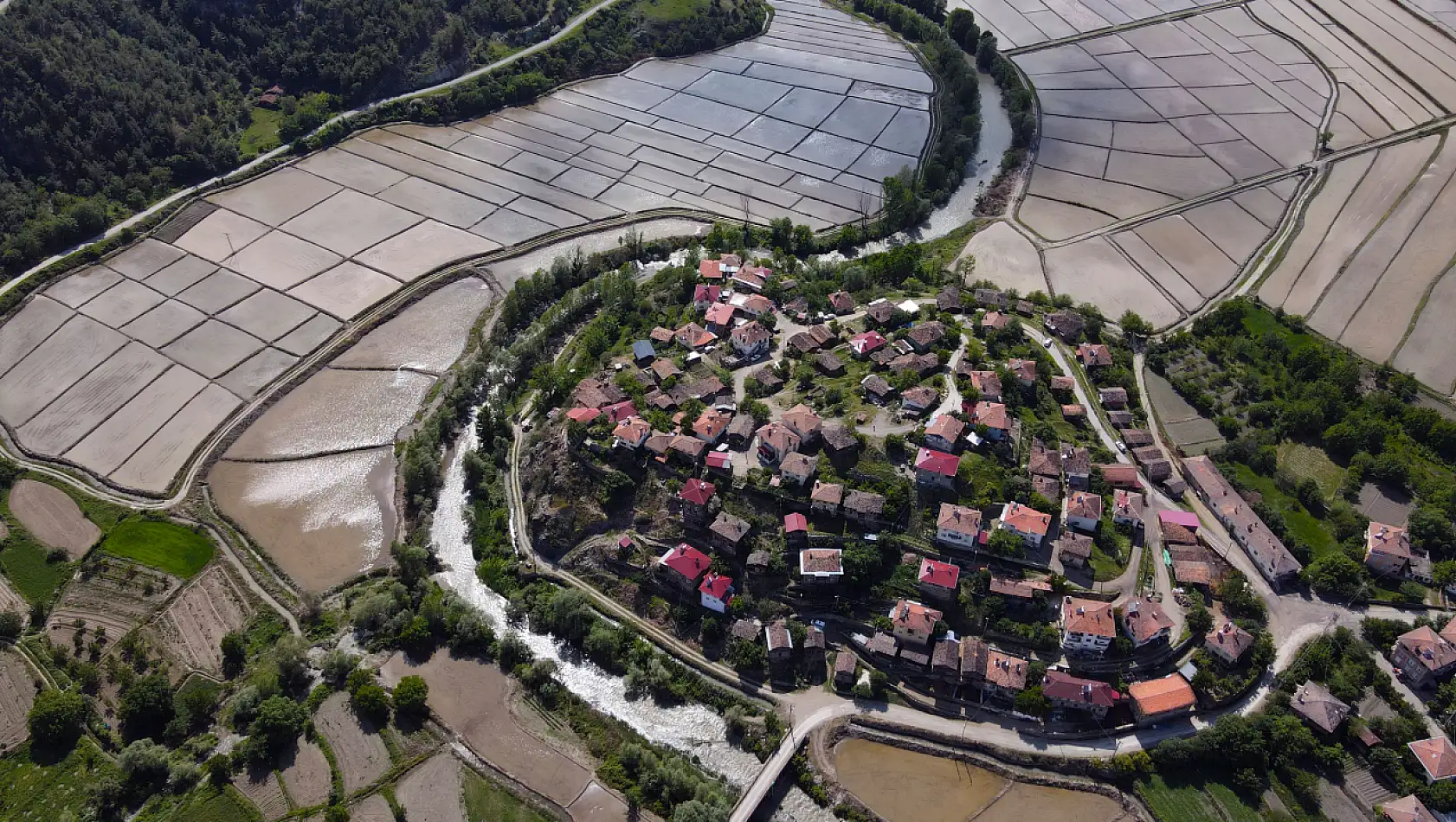 Kastamonu'nun Tosya ilçesinde eşsiz görüntü: Ortalıca köyü çeltik tarlalarının sularıyla yarımadaya dönüşüyor