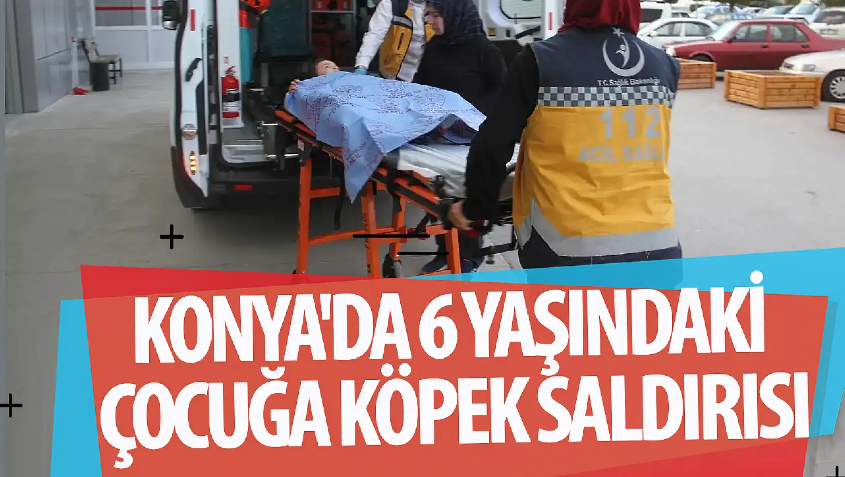 Konya'da 6 yaşındaki çocuğa köpek saldırdı!