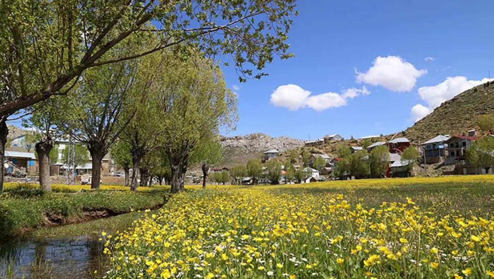 Konya'da yaylalar baharın tüm güzelliklerini sunuyor!