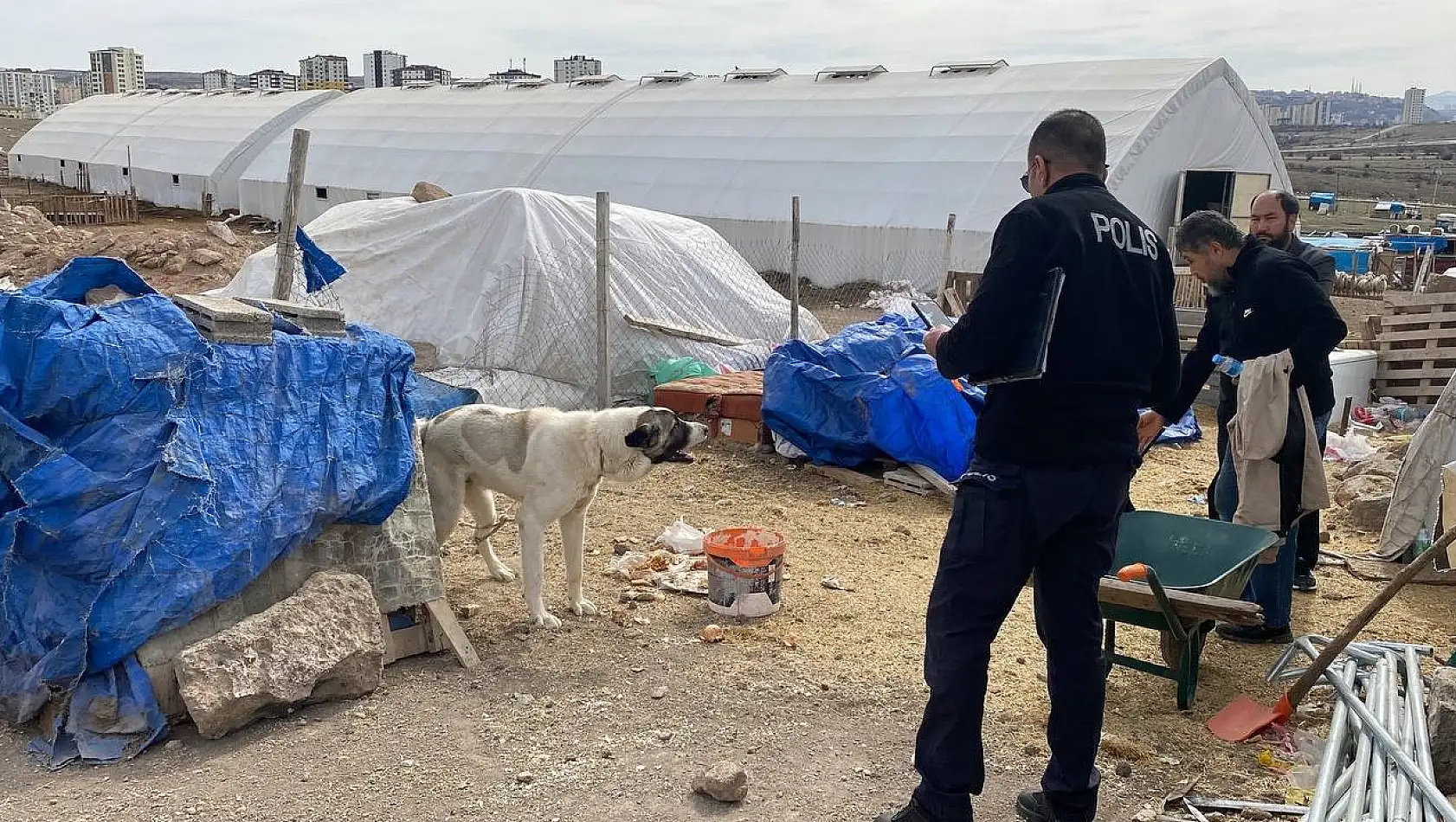 Köpek saldırısına uğrayan çocuk ağır yaralandı