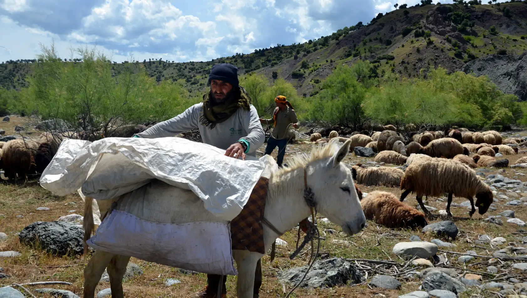 Muş'ta Kış Mevsiminin Ardından Yüksek Rakımlı Yaylalara Yolculuk Başladı