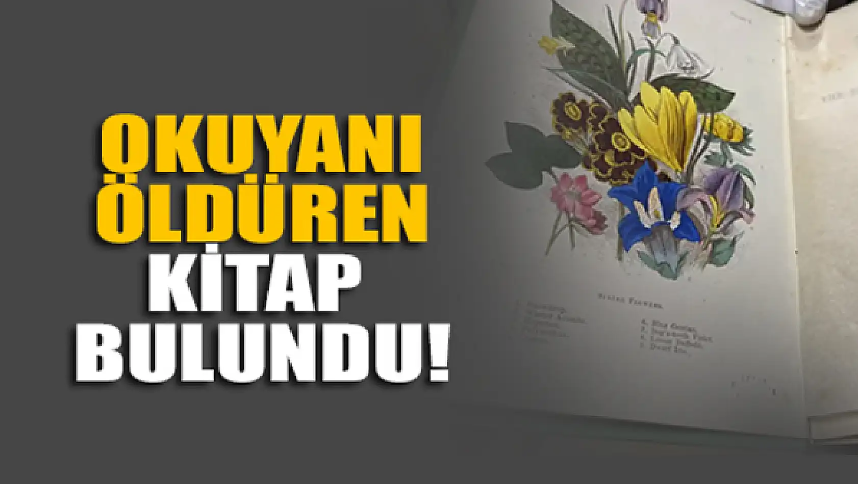 Okuyanı zehirleyip öldüren kitap bulundu!