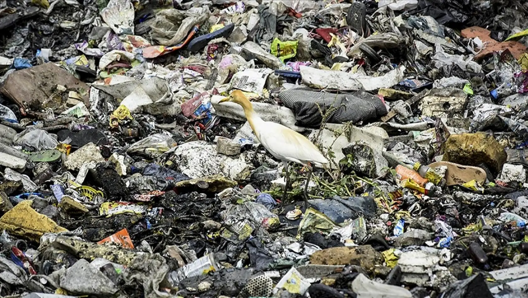 Plastiksiz Temmuz Hareketi yılda 300 milyon kilogram plastik kirliliğini engelliyor