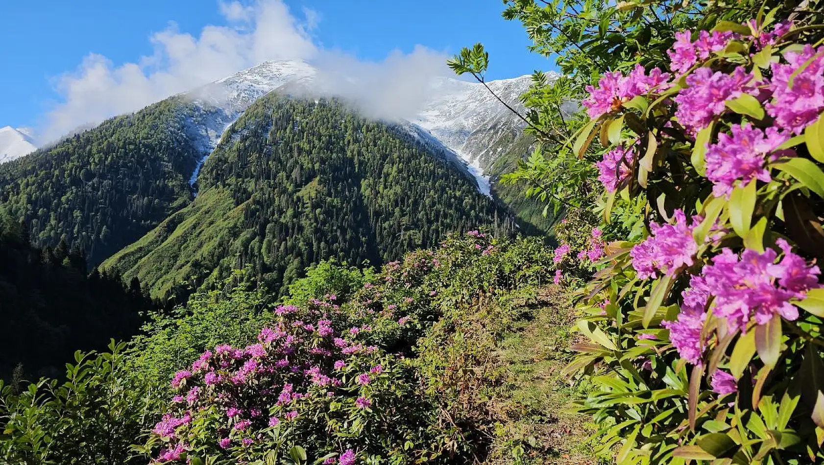Rize'nin Kaçkar Dağları, karla kaplı zirveleriyle ve ilkbaharın renkleriyle büyülüyor