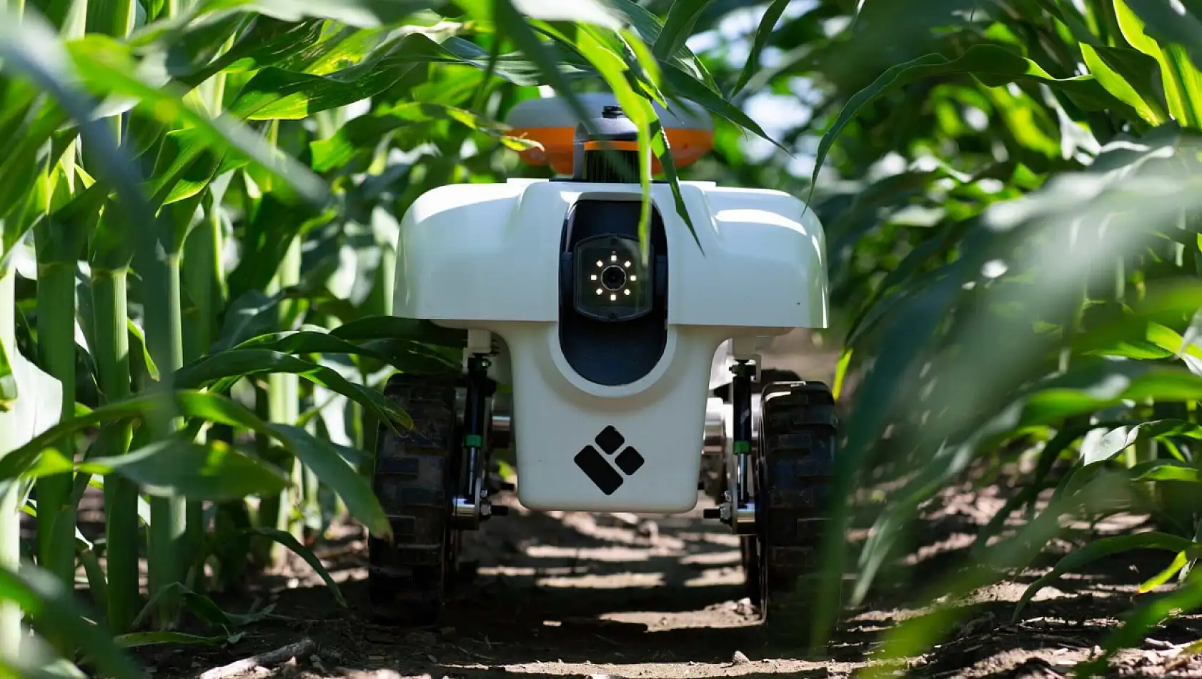 Tarım robotları: Sürdürülebilir tarımın geleceği