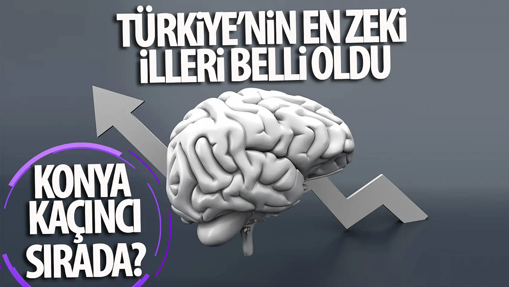 Türkiye'nin en zeki illeri belli oldu: Peki Konya kaçıncı sırada?