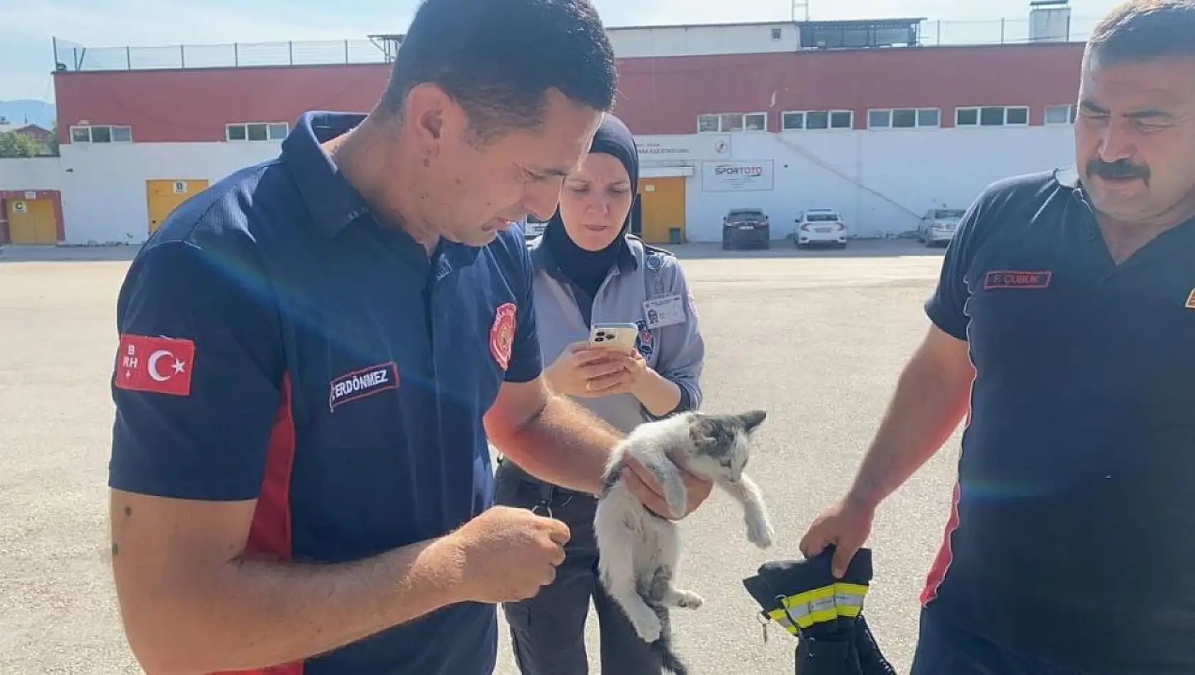  Yaramaz kedinin yaptığına bak hele....