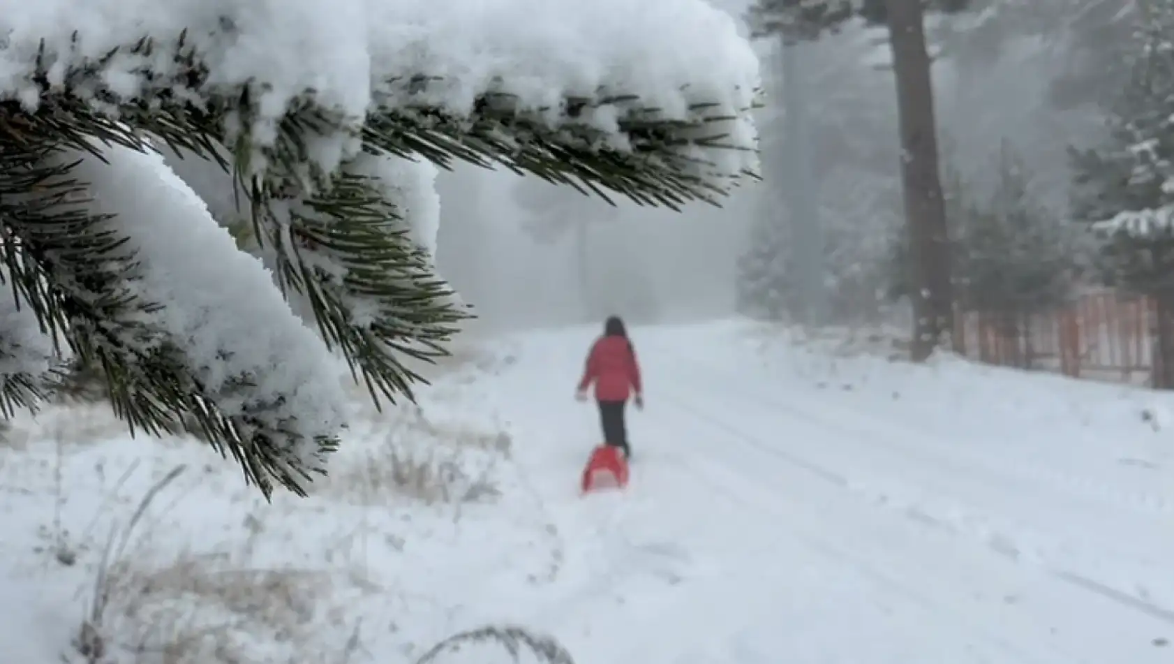 Kar yağışı şehirleri beyaza bürüdü: Çocuklar sokaklara akın etti