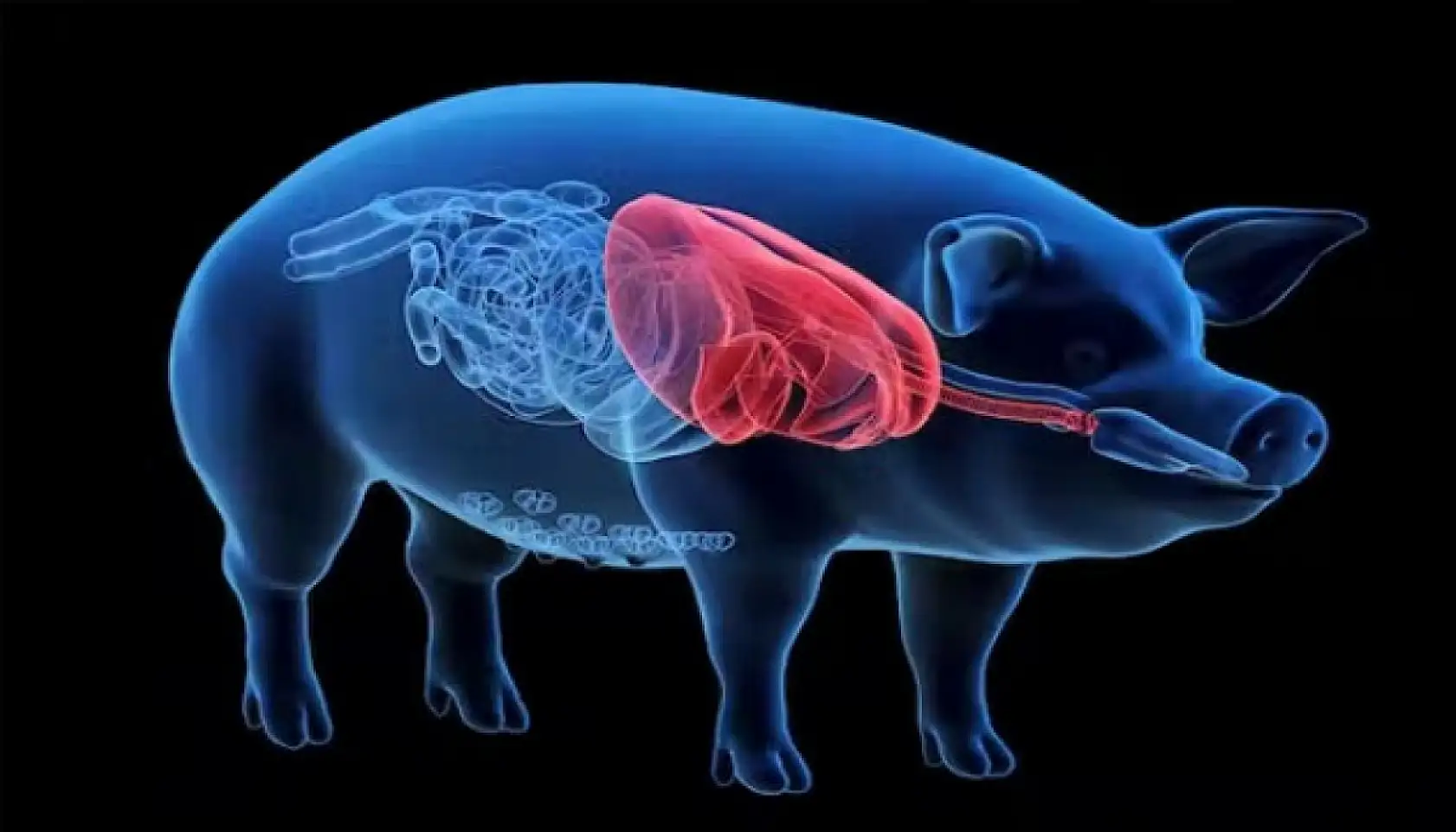 2025'te dünyayı değiştiren keşifler: Yapay kalp, yeni gezegen, çare bulunan hastalıklar