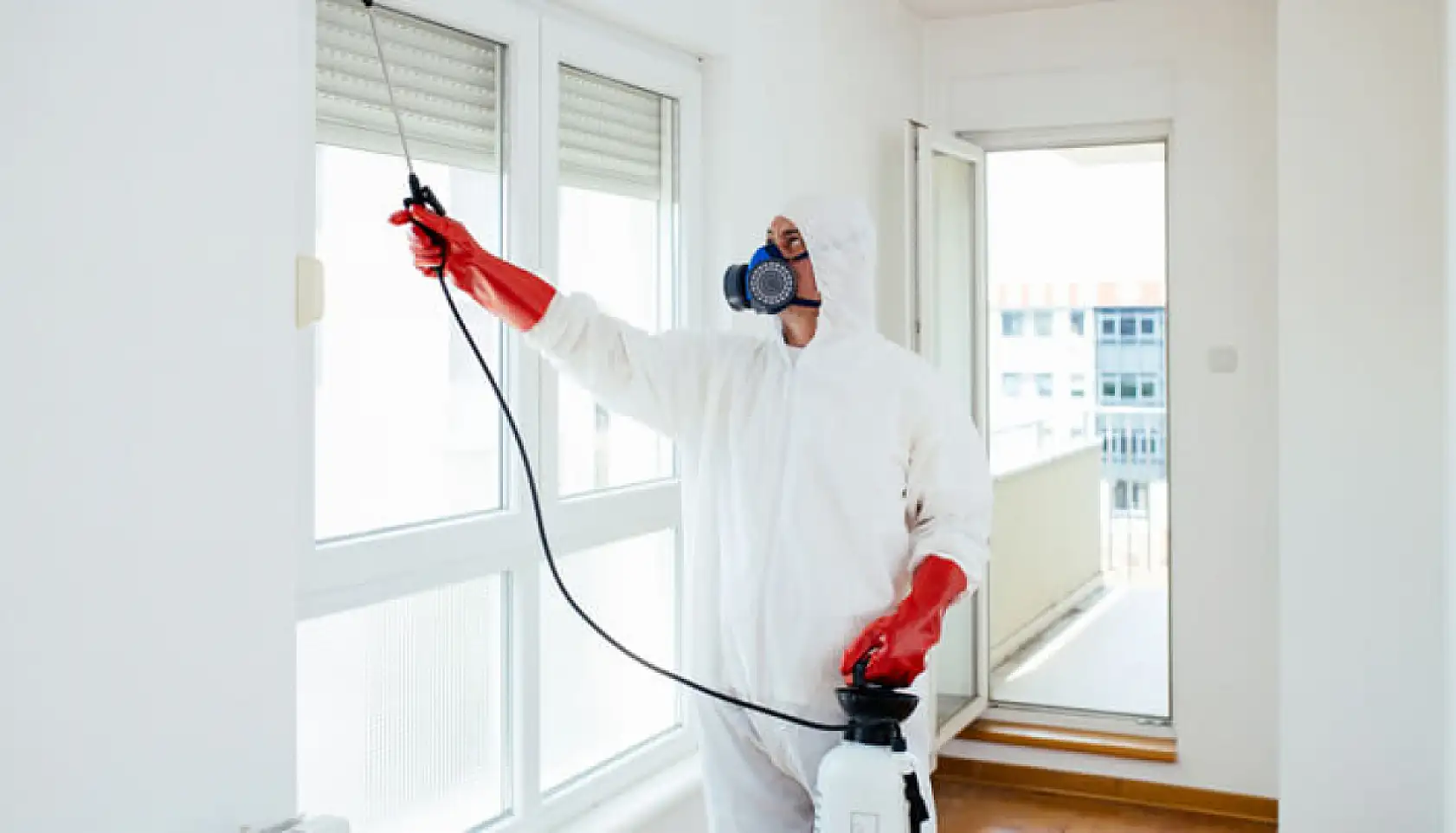 Uzman isim uyardı: Konya'da tahta kurusu şikayetleri arttı!