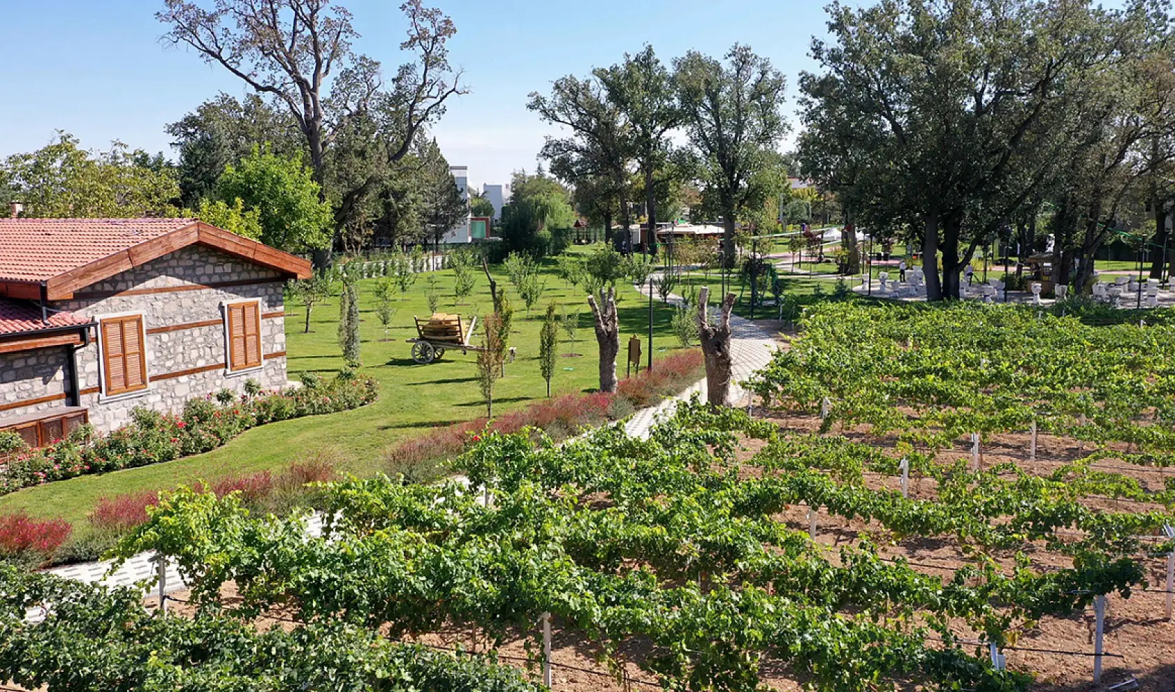 Yapay zeka Konya'da film çekse nereleri seçerdi? İşte 10 etkileyici mekan...