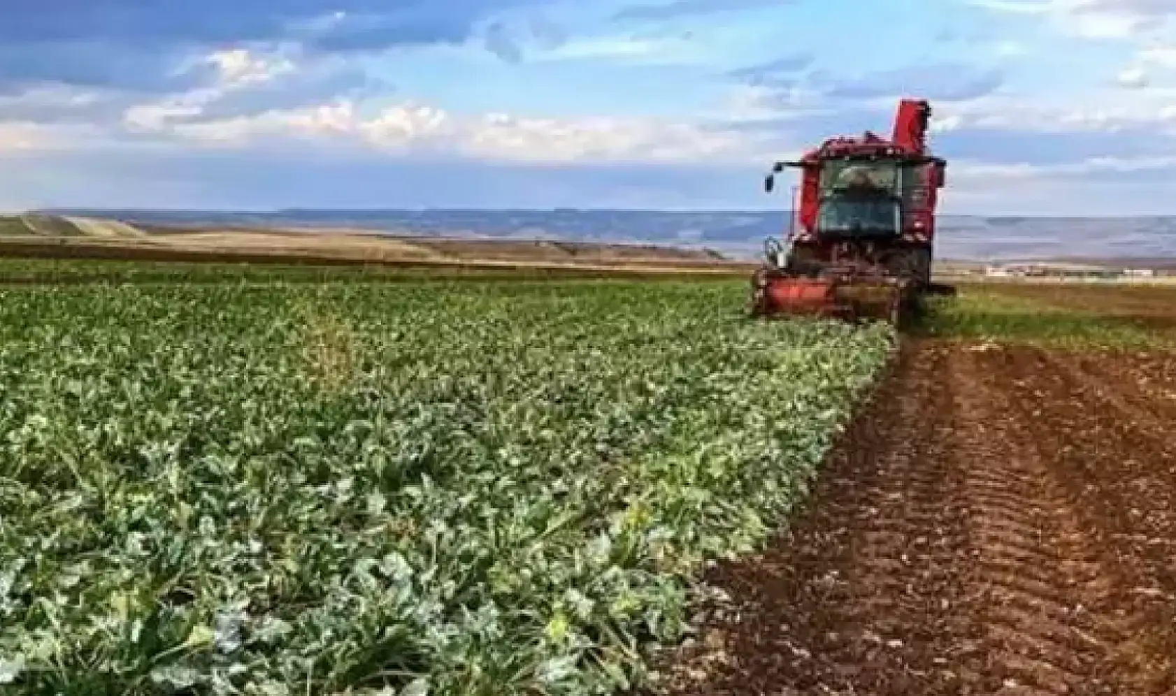 Çiftçiler müjde: Destek ödemeleri hesaplara yatırılıyor!