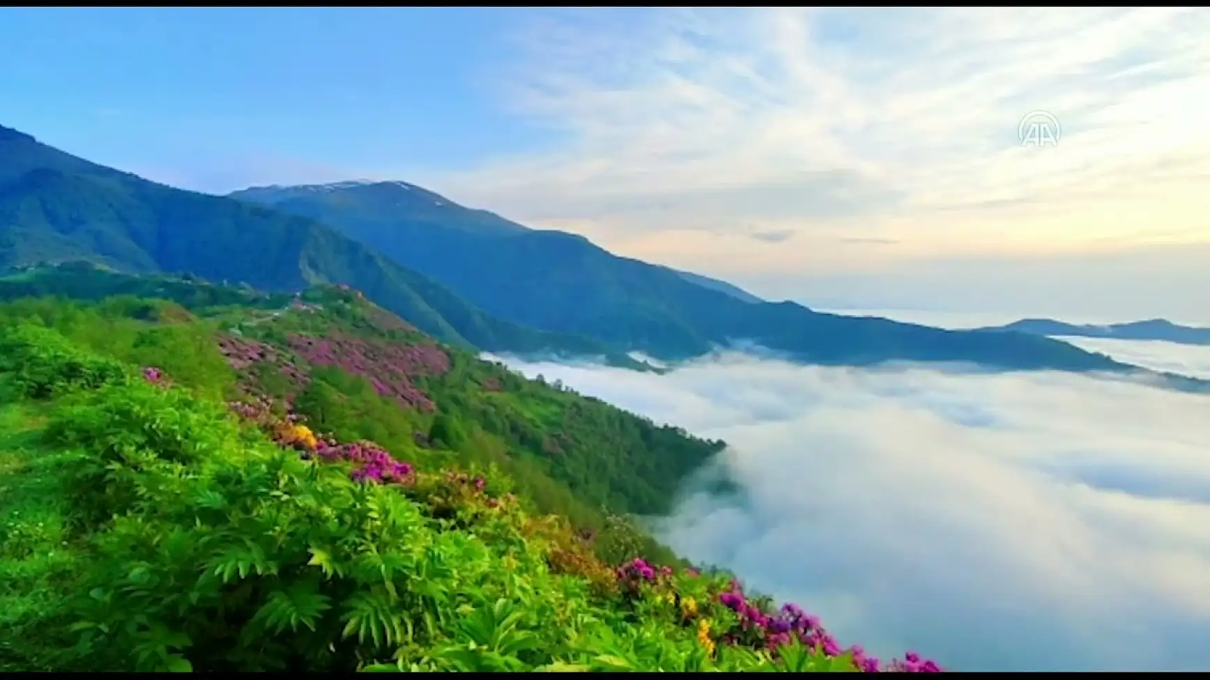 Sis Dağı'nda yeşilin her tonunu görmek mümkün I Trabzon ve Giresun sınırında yer alıyor
