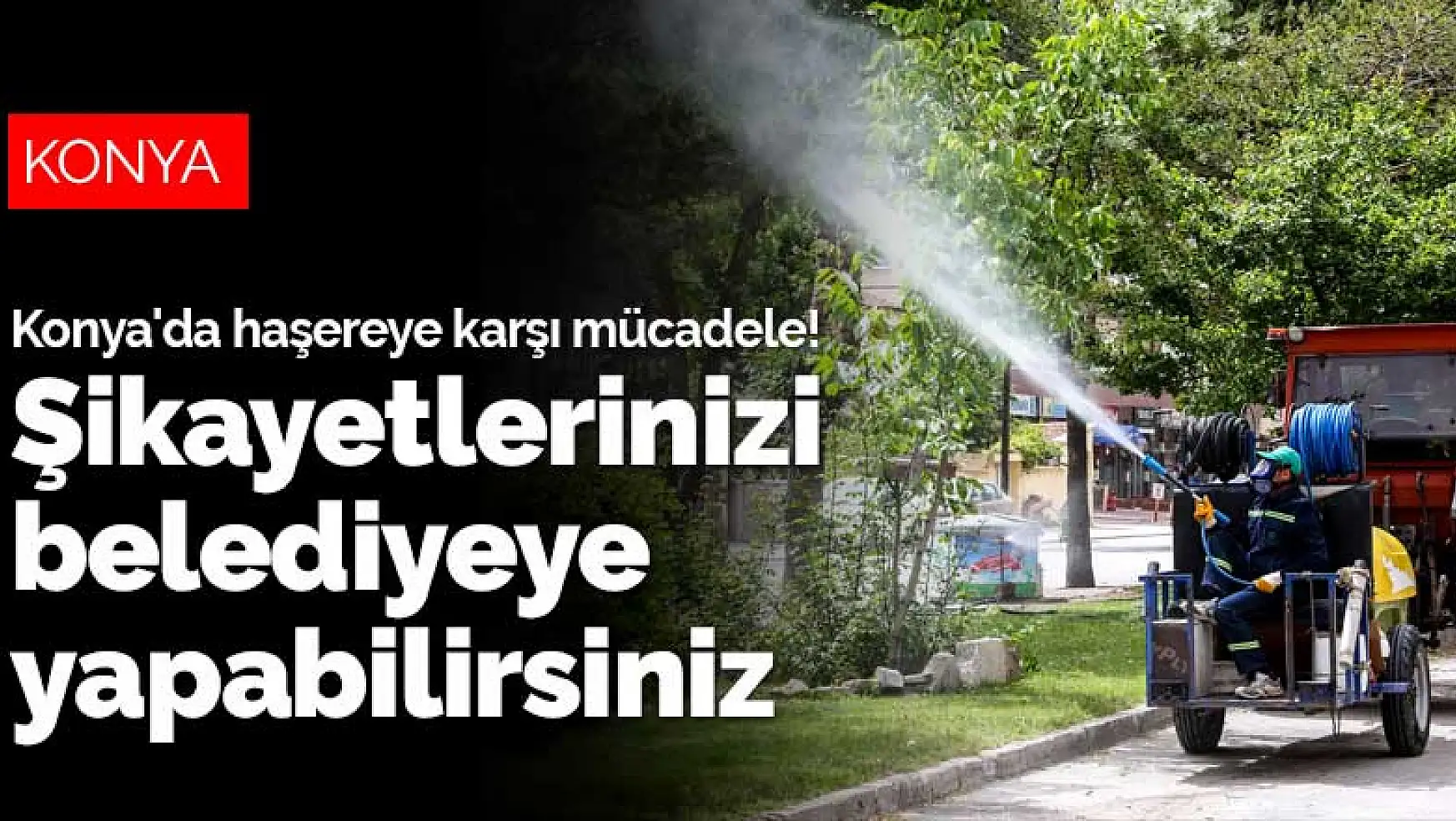Konya'da haşereye karşı etkin mücadele! Şikayetlerinizi belediyeye yapabilirsiniz