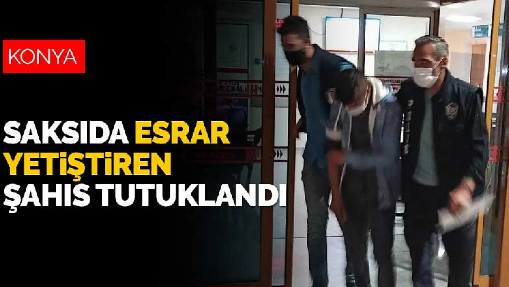 Konya Seydişehir'de saksıda esrar yetiştiren şahıs tutuklandı