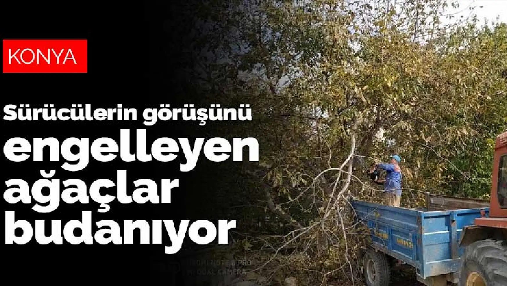 Konya'nın Hüyük ilçesinde sürücülerin görüşünü engelleyen ağaçlar budanıyor