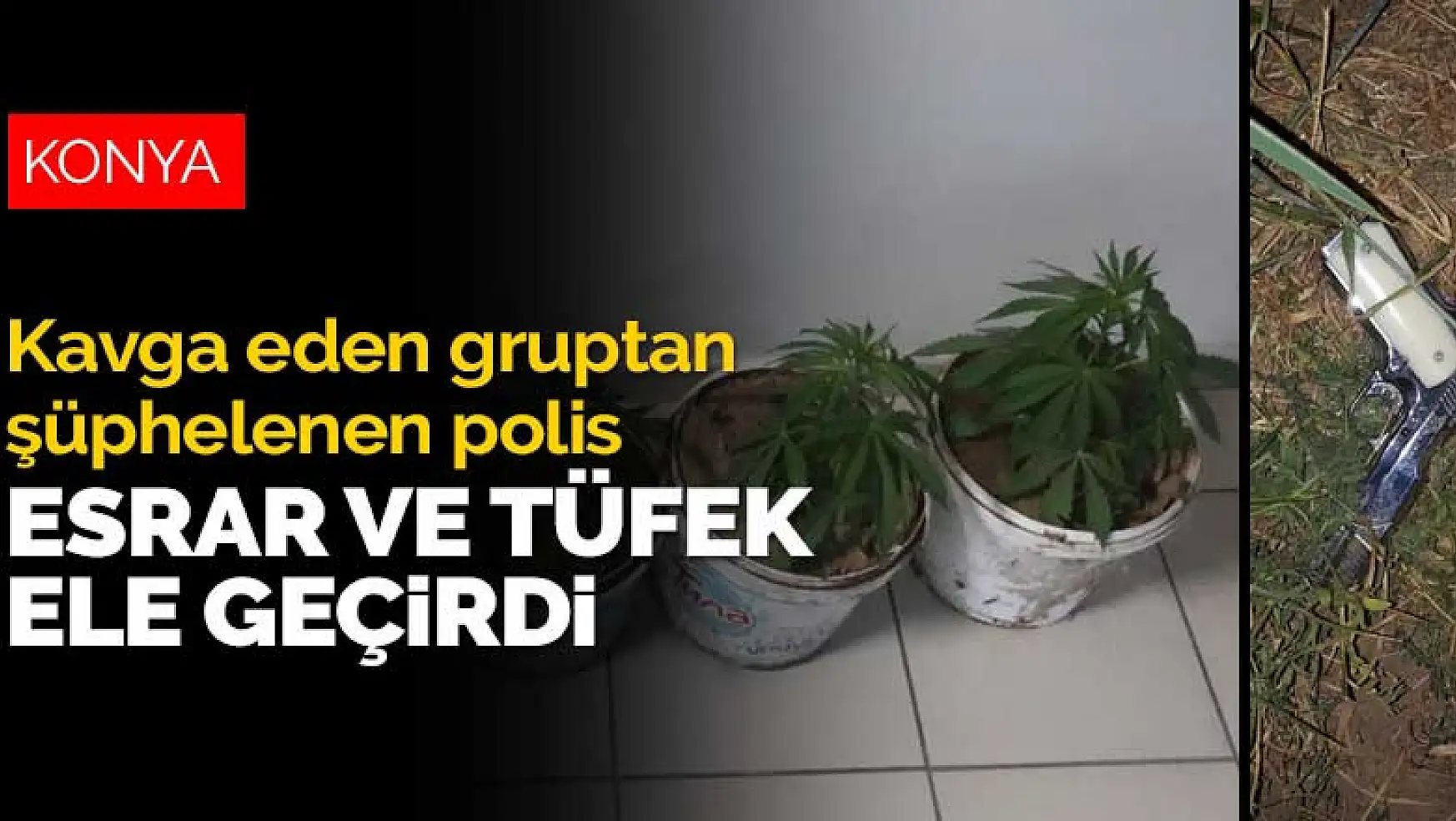 Konya'da kavga eden gruptan şüphelenen polis, 5 saksı esrar ve tüfek ele geçirdi