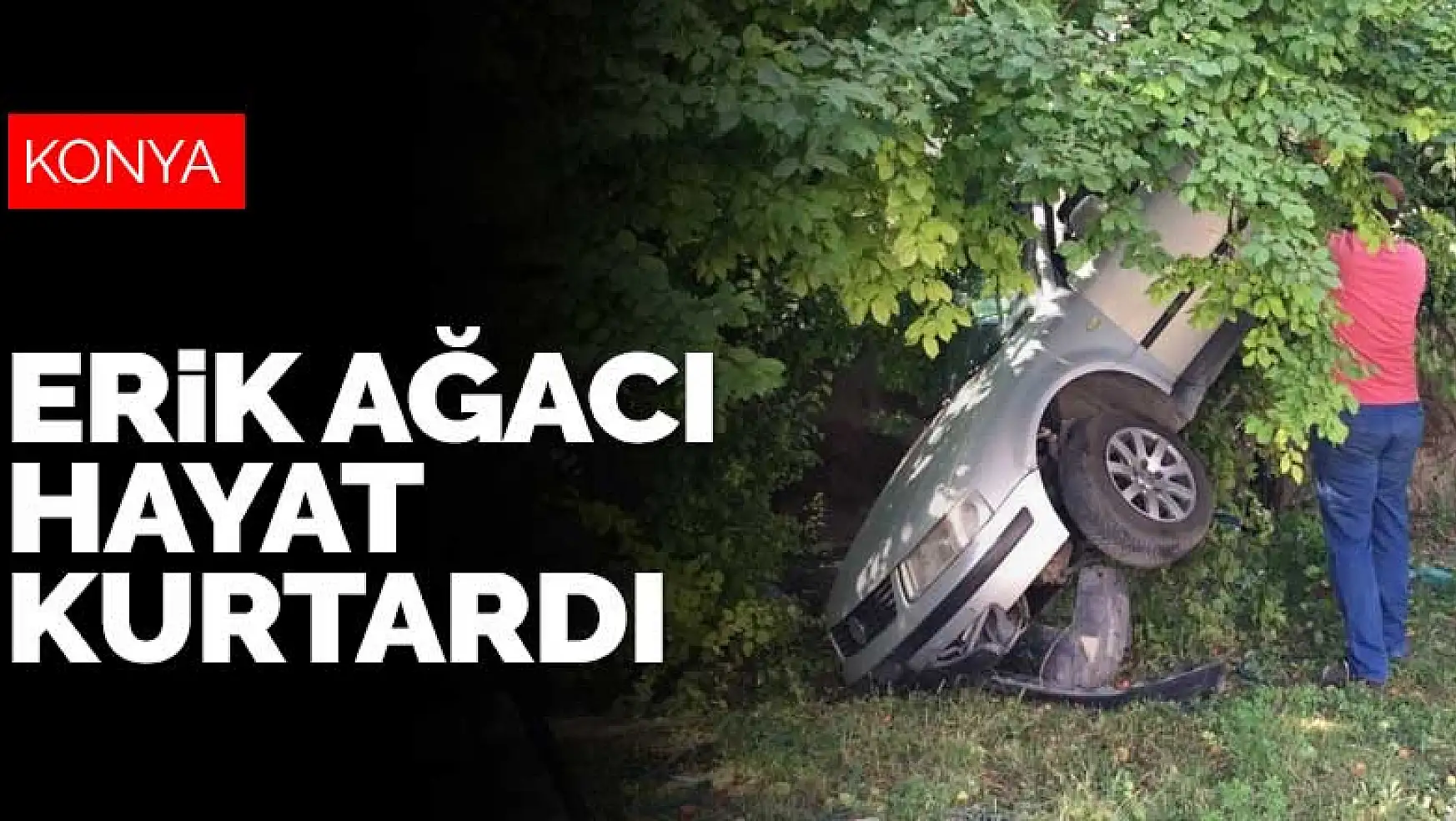 Konya'da yaşanan kazada bahçeye düşen otomobilin sürücüsünü erik ağacı kurtardı
