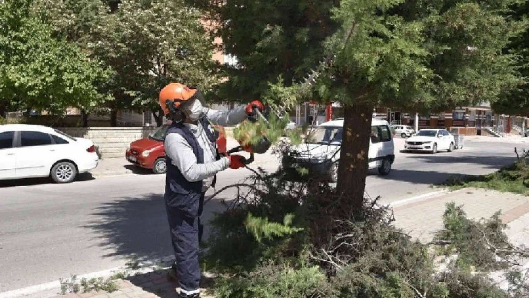 Selçuklu Belediyesinde ağaç budama mesaisi sürüyor