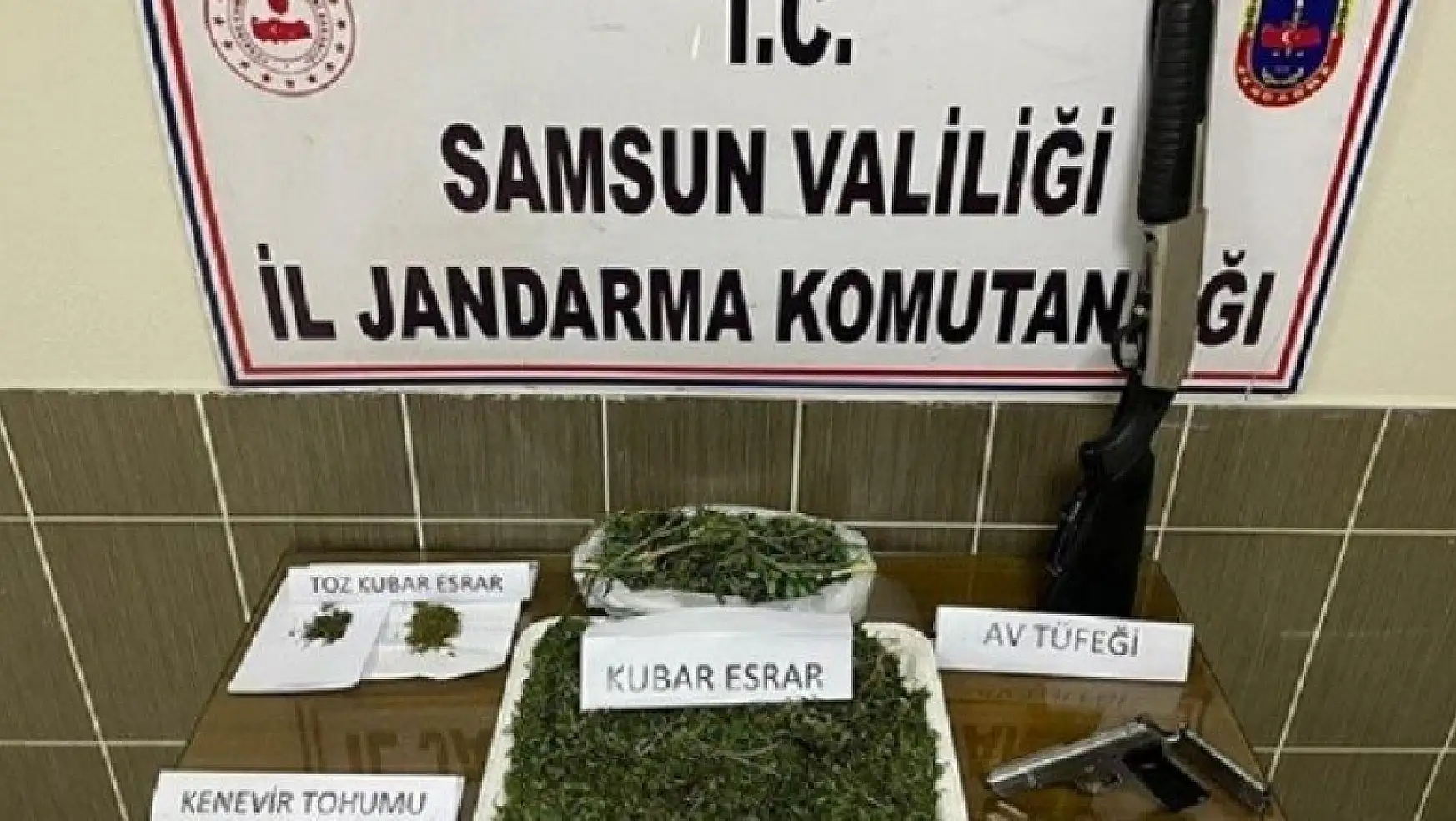 Samsun'da 5,1 kilo kubar esrar ve 4 bin kök kenevir bitkisi ele geçirildi: 15 gözaltı
