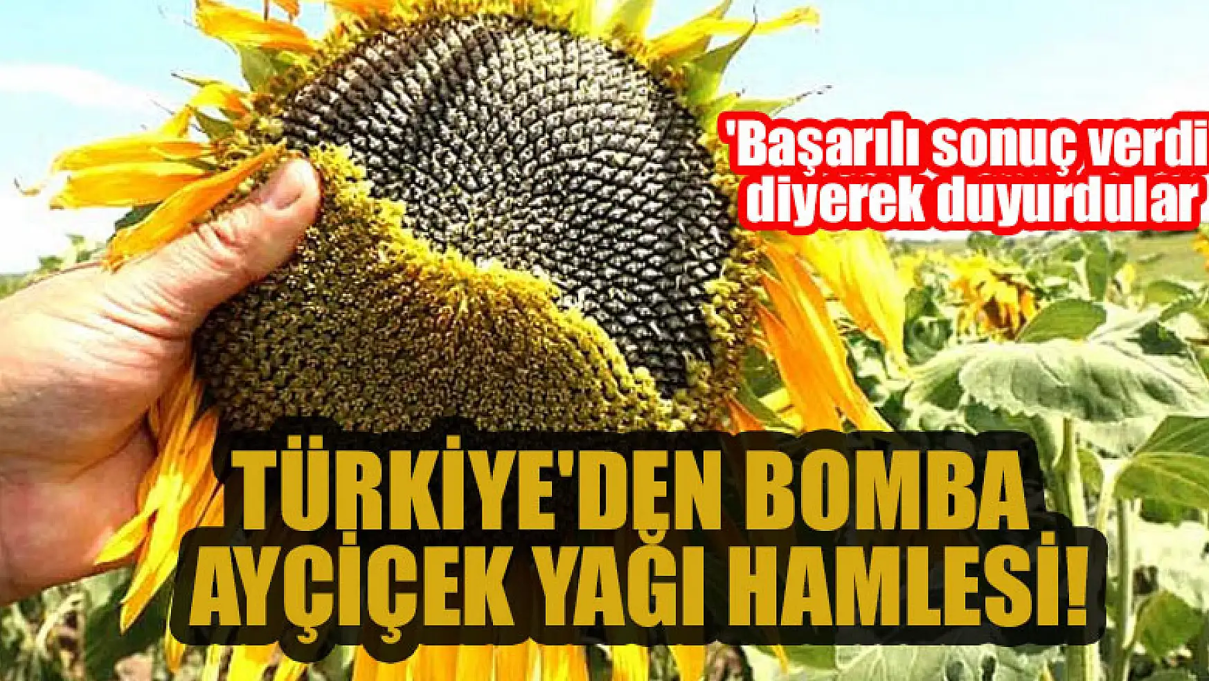 Türkiye'den bomba ayçiçek yağı hamlesi! 'Başarılı sonuç verdi' diyerek duyurdular