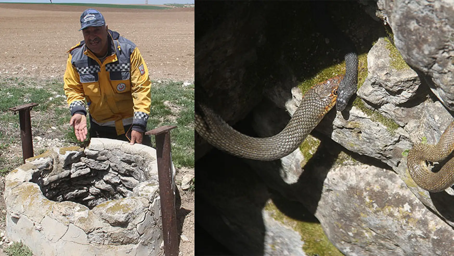 Beyşehir'de havaların ısınmasıyla su kuyularında yılanlar ortaya çıkmaya başladı