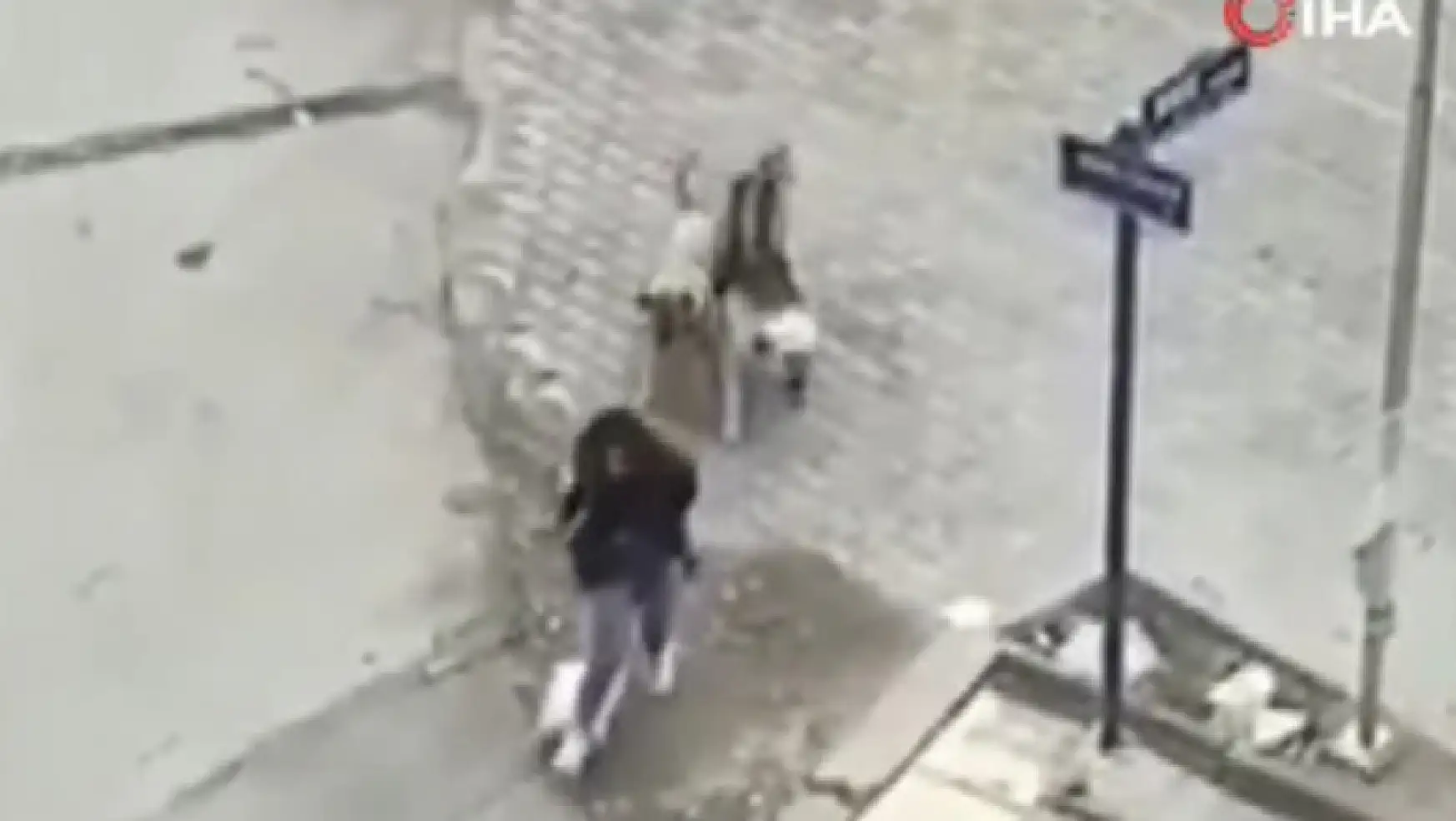 8 başıboş köpek yolda yürüyen genç kıza saldırdı