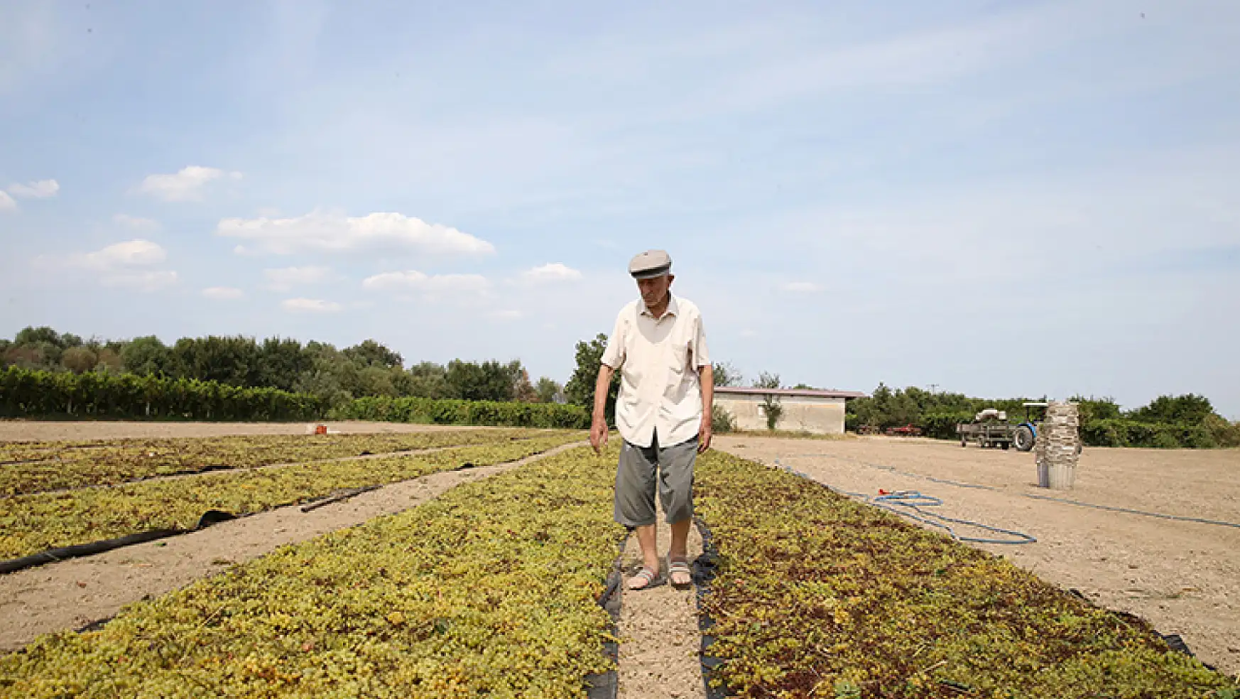 91 yaşında topraktan kopamayan çiftçi: Toprak emeğe saygısızlık yapmaz, hakkını verir