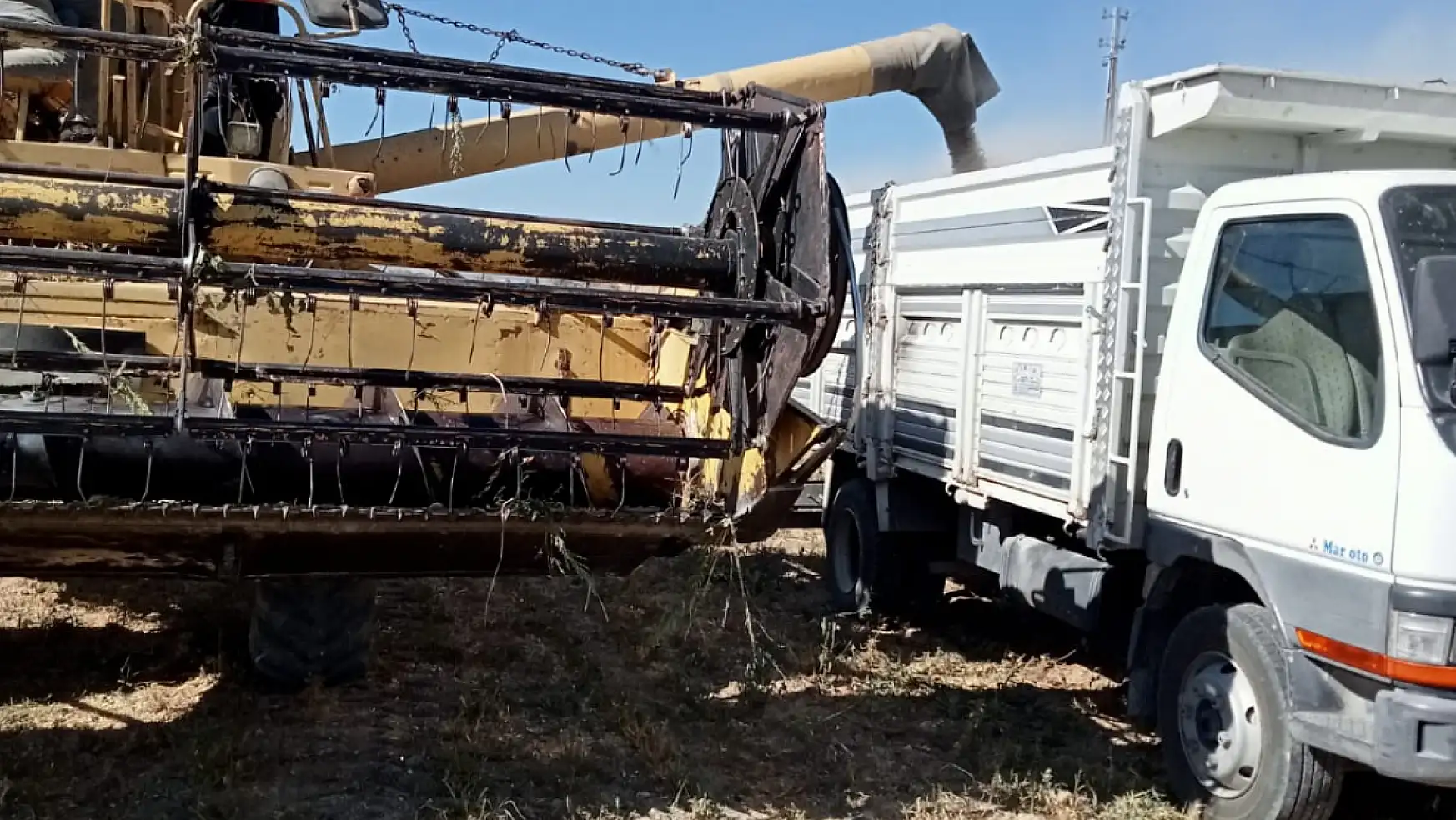 Akşehir'de belediye öncülüğünde ekilen nohut hasat edildi