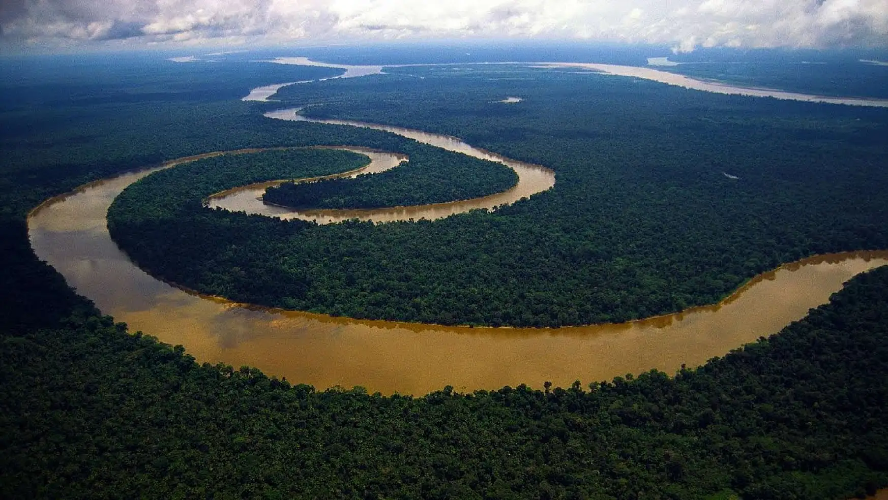 Amazon Nehri'nde yeni keşif: Benzersiz biyoçeşitlilik oranları ortaya çıkarıldı