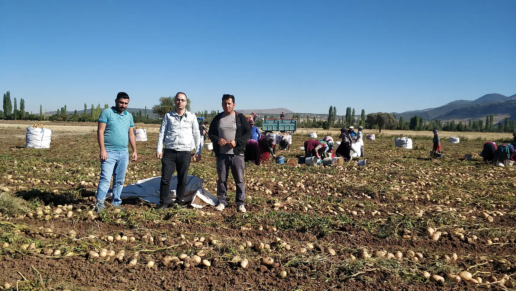 Beyşehir'de cipslik patates hasat mesaisi başladı