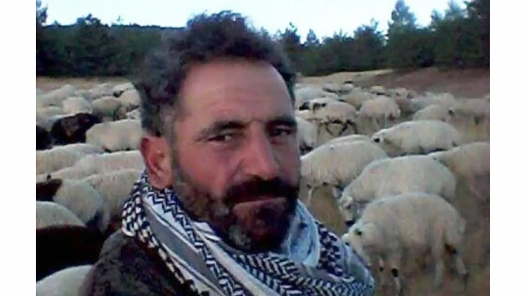 Diyarbakır'da bir çobana yıldırım çarptı