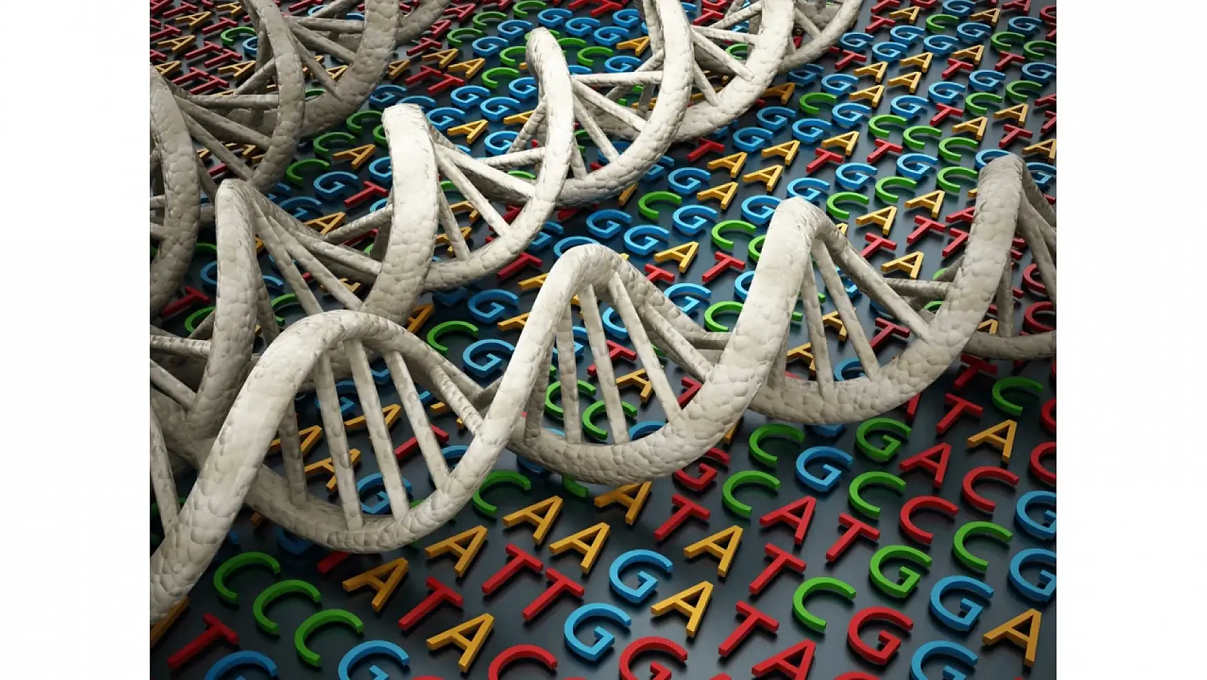 DNA'nın yapısı ve genetik kodlama: Temel bilgiler ve yeni keşifler