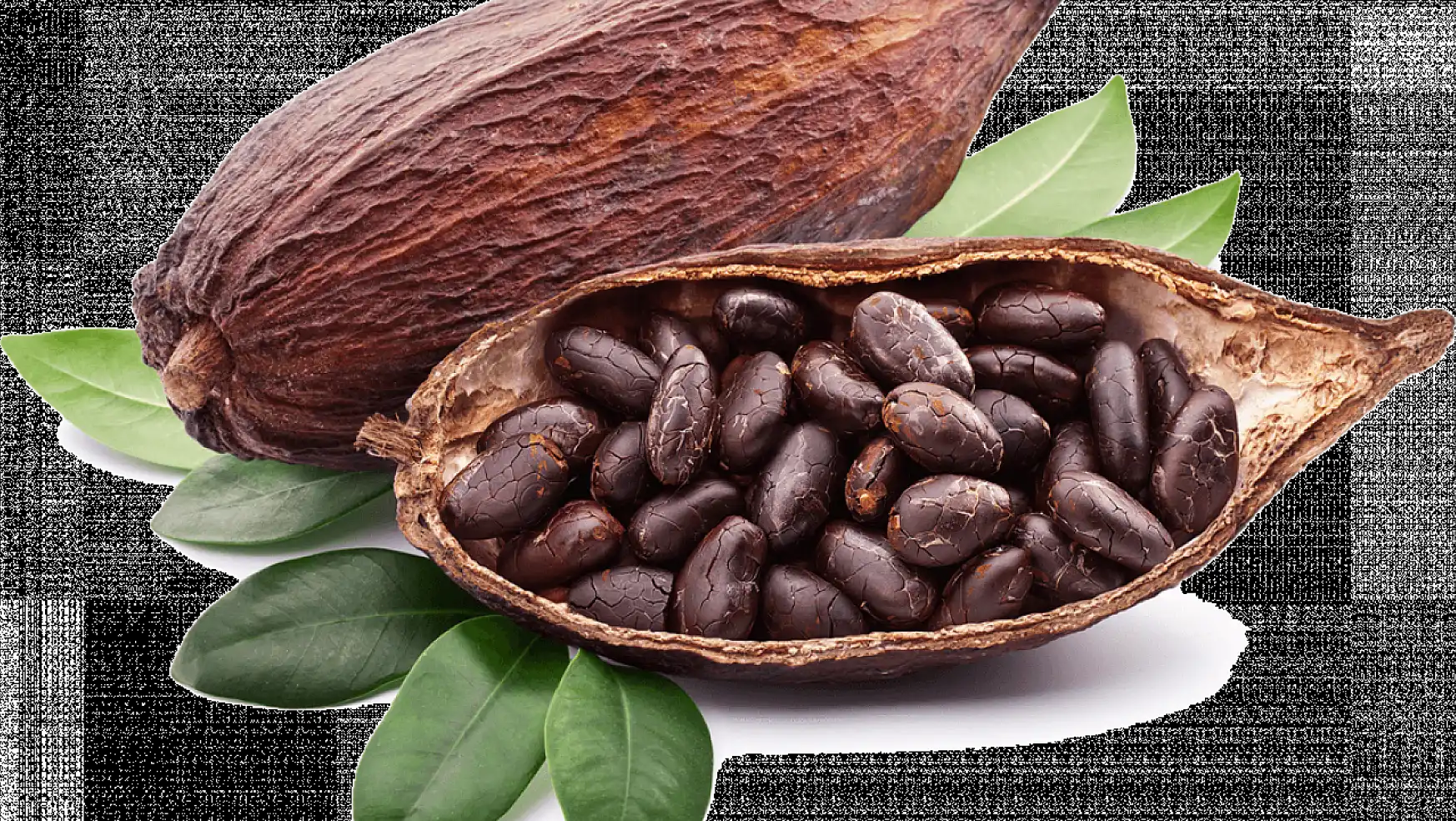 Kakao: Kakaonun Faydaları Nelerdir?