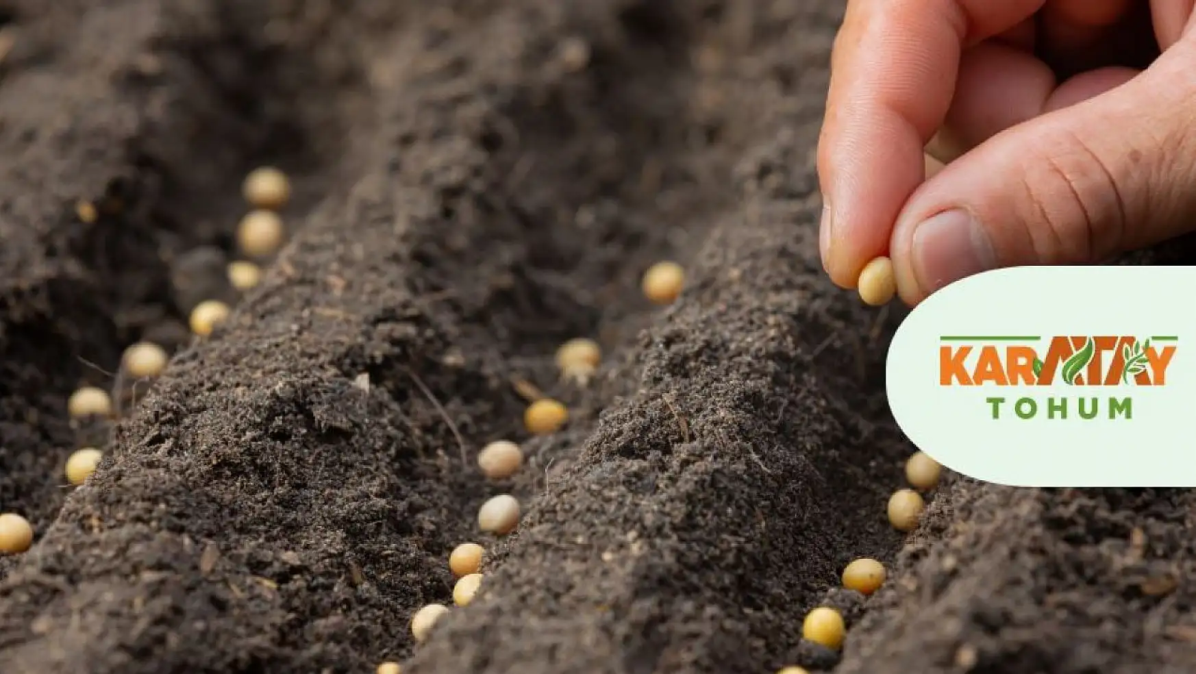 Karatay Belediyesi besin değeri kaybolmamış tohumları çoğaltacak