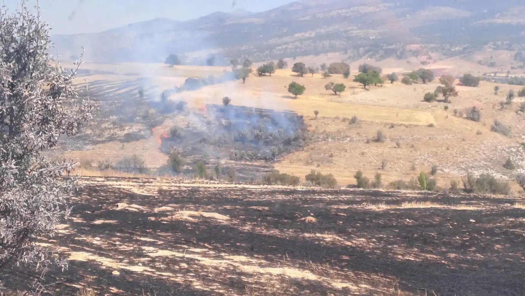 Konya'da anız yangını ormanlık alana sıçradı