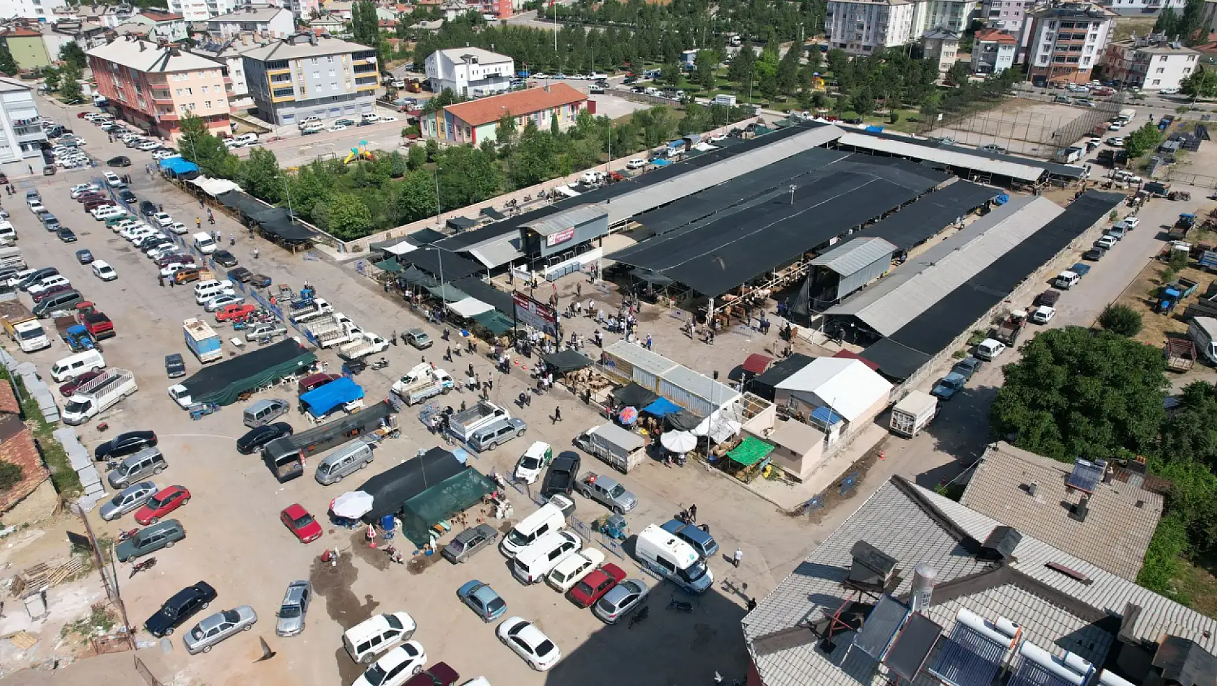 Konya'da hayvan pazarı açıldı