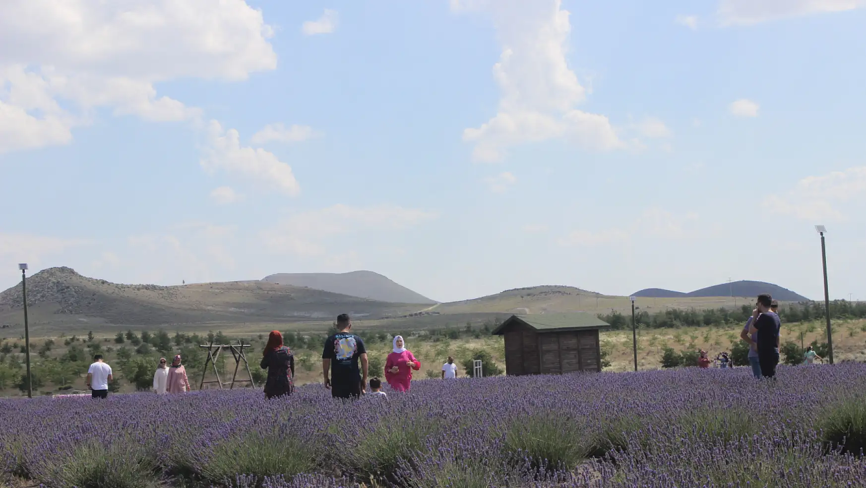 Konya'daki lavanta bahçesi turistlerin uğrak noktası oldu