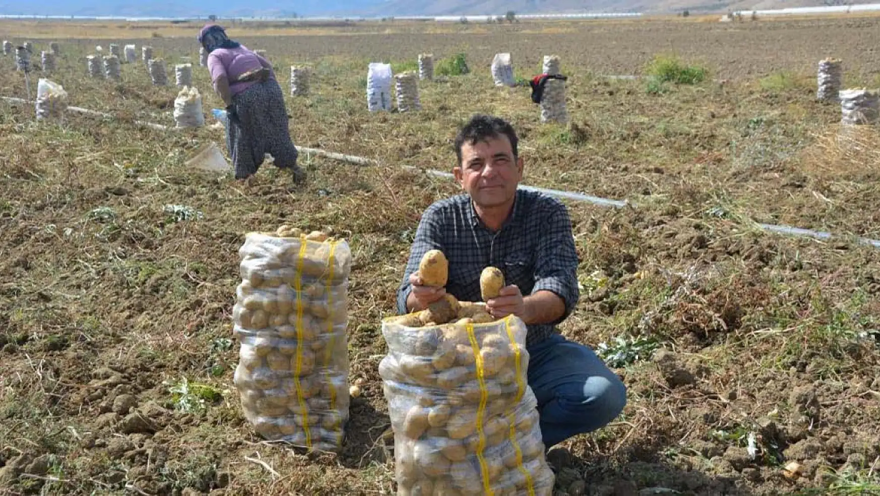 Konya'nın komşu ilinde patates hasadı sona erdi!