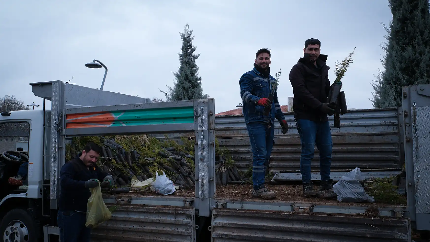 Konya'nın o ilçesinde vatandaşlara 5 bin adet çam fidanı dağıtıldı!