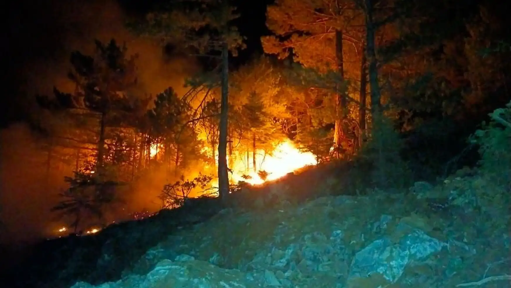 Konya'da ormanlık alanda çıkan yangın korkuttu!