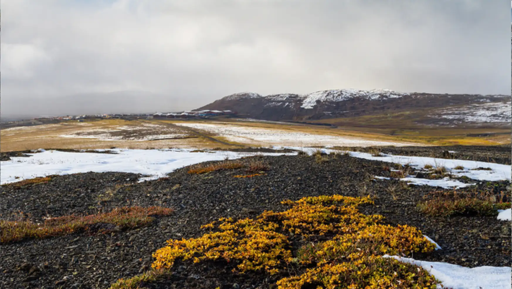 Tundra toprakları: Soğuğun altında gizemli dünya