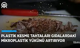 Kebap | Kokoreç | Börek | Plastik yüzeylerde işlem gören yiyecekler sağlıklı mı?