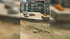 4 çocuk annesi Türkay Teneke düştüğü kuyuda can verdi