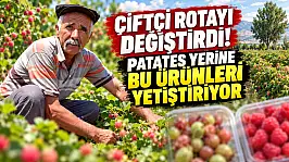 Çiftçi rotayı değiştirdi! Patates yerine bu ürünleri yetiştiriyor