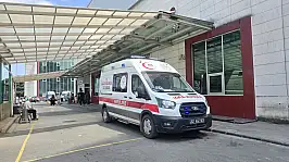 Doğadan toplanan mantar yaşlı çifti hastanelik etti