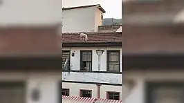 Kahvehanede oyun oynarken şaşkına döndüler, hemen telefona sarıldılar