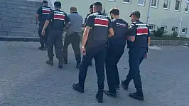 Köpeklerin kavgasında çobanı öldürdüler!