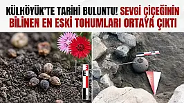 Külhöyük'te tarihi buluntu! Sevgi çiçeğinin bilinen en eski tohumları ortaya çıktı